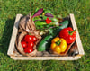 Medium Organic Salad Box 1- 2 People