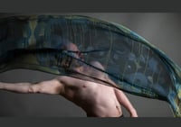 Image 1 of  WAIT ( for the news) 4 