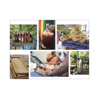 Image 3 of West Winds: Recipes, History and Tales from Jamaica by Riaz Phillips