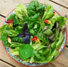 Trinity Farm Organic Salad Bag