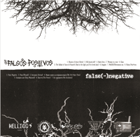 Image 2 of False(-)Negative / Falsos Positivos - split LP