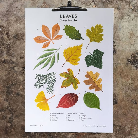 Image of Leaves School Chart