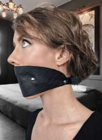 Image 2 of Bondage Leather Single Strap Panel Ball Gag (Silicone Ball)