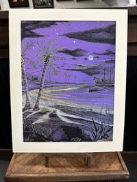 Image 1 of Purple Pirate