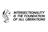 Image 3 of intersectionality is the foundation 