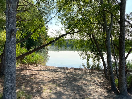 Image of Oak Grove Lake in Chesapeake: Saturday, November 9th