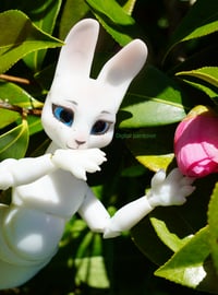 Image 1 of Miniature Shapeshifter "Bunny" Ball Jointed Doll Blank Base (White , Chubby Body)