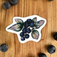 Image 1 of Blueberry Cluster Vinyl Sticker