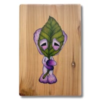 Image 1 of Bashful 2 - original