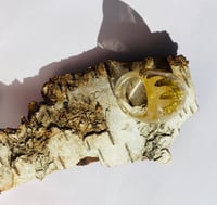 Image 4 of Golden leaf