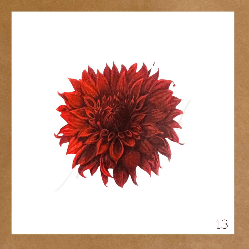 Image of Botanical Cards