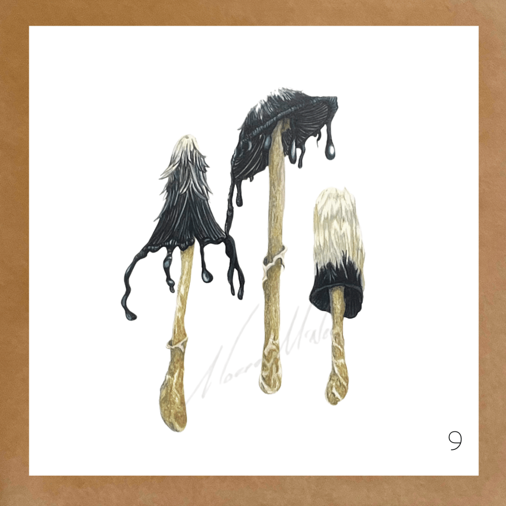 Image of Botanical Cards