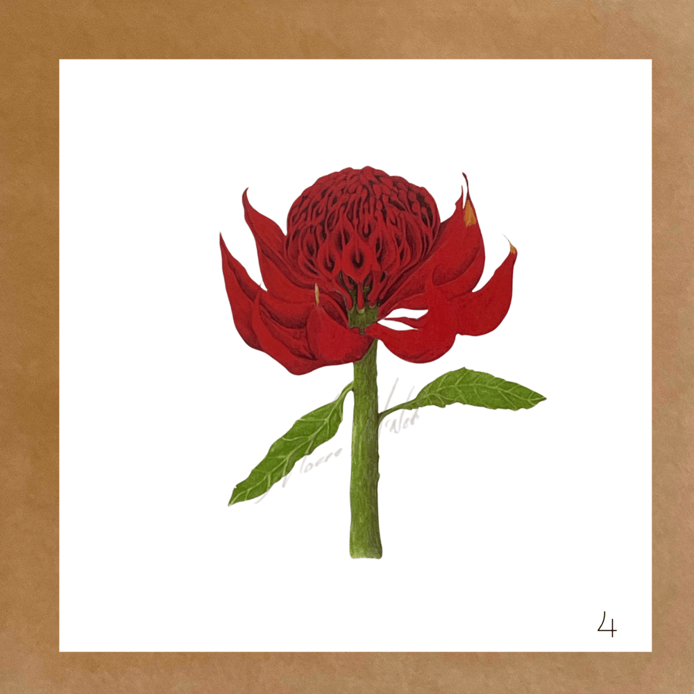 Image of Botanical Cards