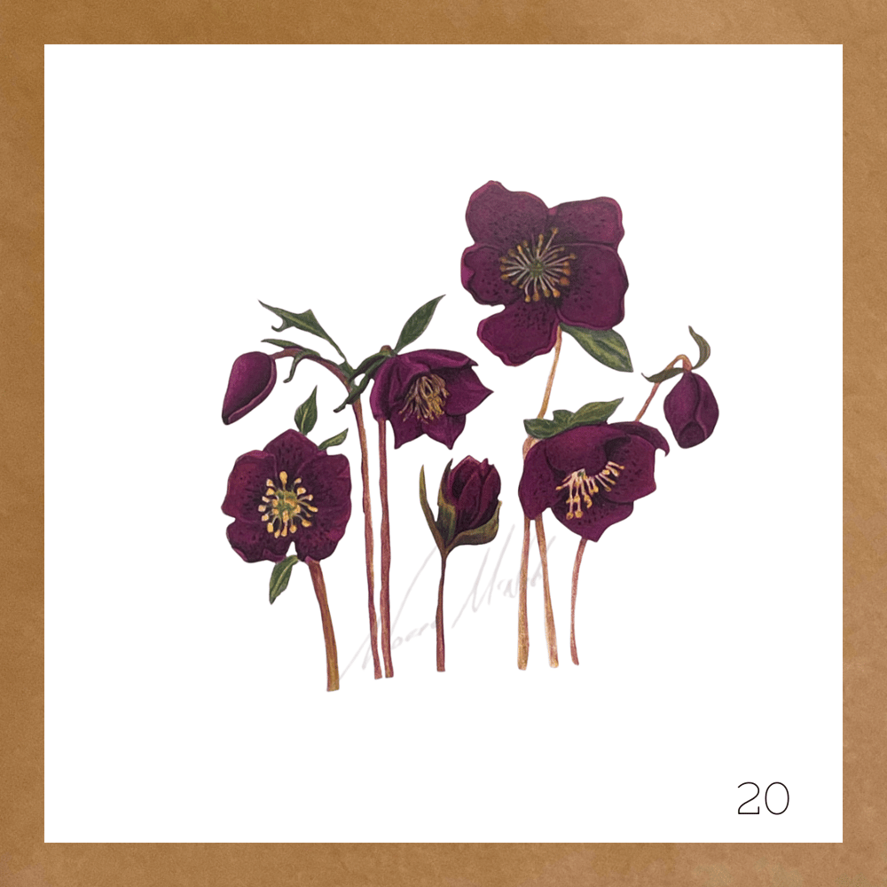 Image of Botanical Cards