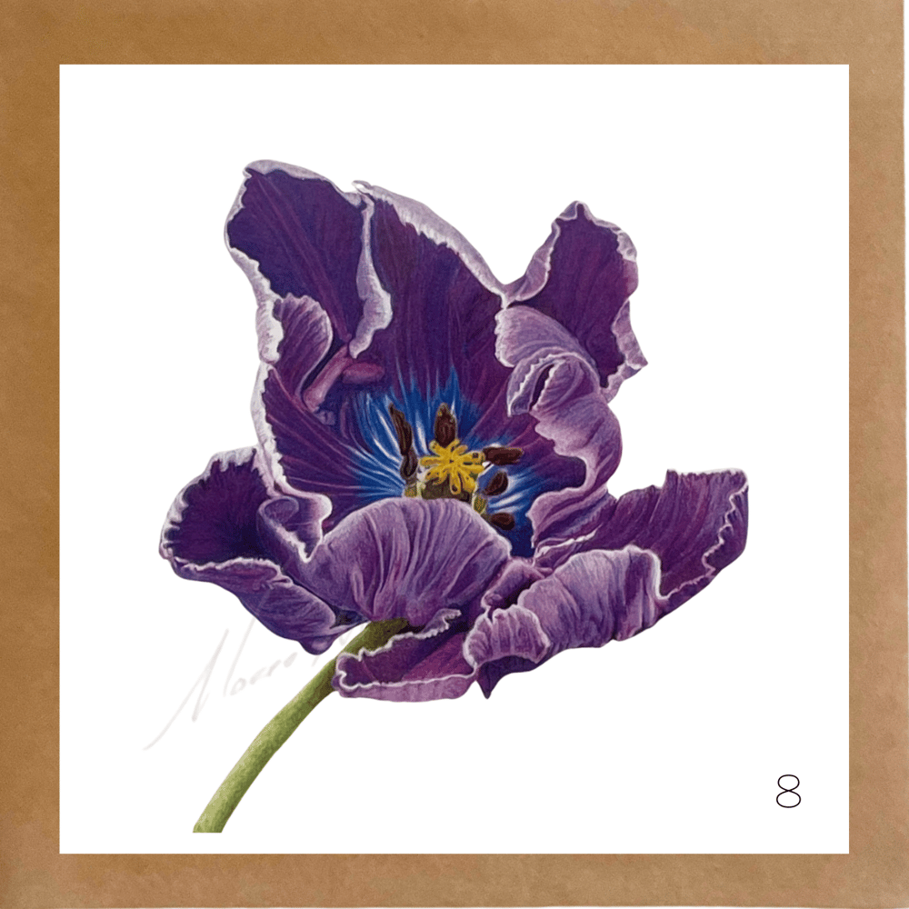 Image of Botanical Cards