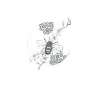 Bee & Honeycomb Ink Print