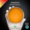 Chestnut (Pholiota Adiposa) Live Mycelium Mushroom Culture Spawn Seed