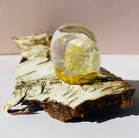 Image 2 of Flora, hvid