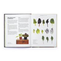Image 4 of How to Grow Your Dinner: Without Leaving the House by Claire Ratinon 