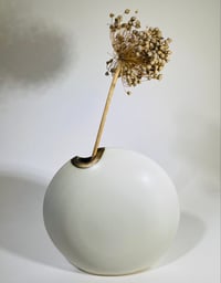 Apologies - the shop is closed in preparation for the Somerset Art Works Exhibition
