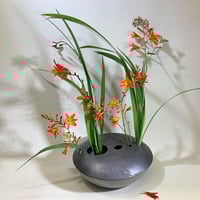 Graphite and Bronze Ikebana