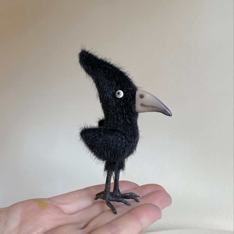 Image of Poe the Glossy Raven #1