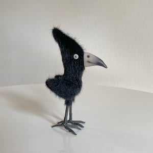 Image of Poe the Glossy Raven #2