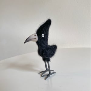 Image of Poe the Glossy Raven #2