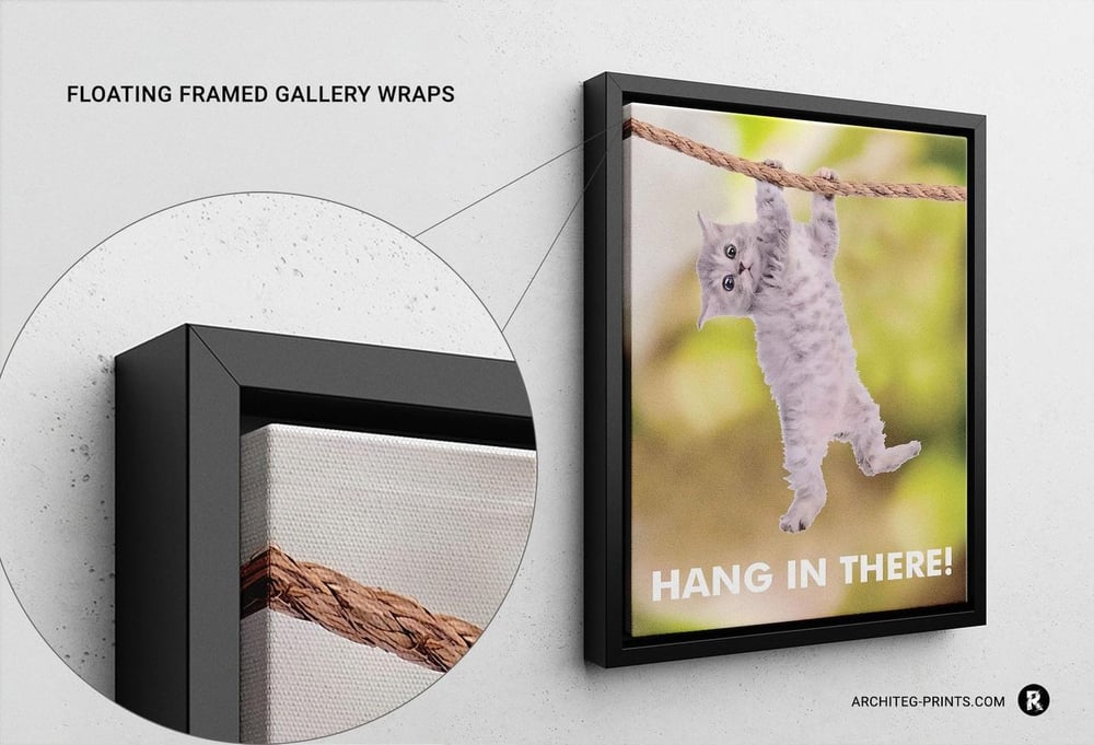 Hang In There Cat Poster - Inspirational Poster 