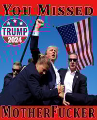 Image 2 of You Missed