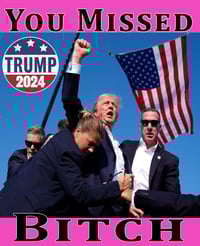 Image 3 of You Missed