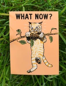 Image of What Now? Sticker