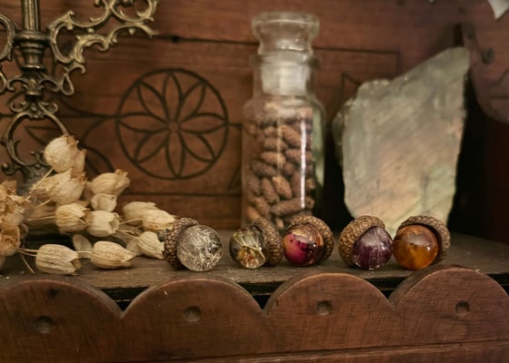 Image of Small Round Botanical Acorns