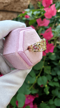 Image 2 of Multi Virgen Elephant Ring 