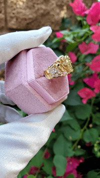 Image 2 of White Virgen Elephant Ring