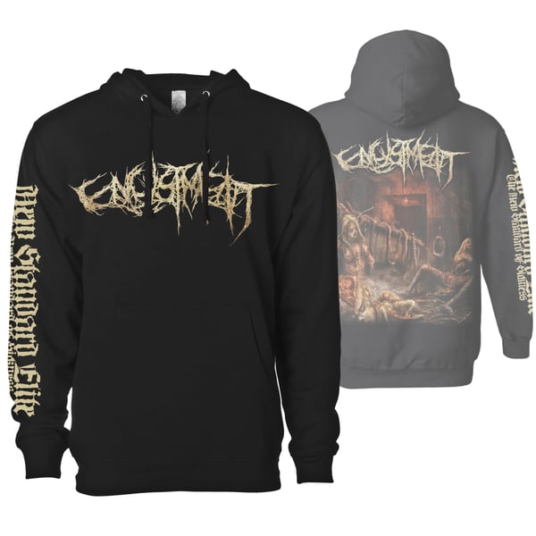 Image of ENCYSTMENT "EGREGIOUS TREATMENT" HOODIE