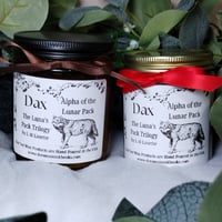 Image 3 of Book Character Inspired Candles and Wax Melts