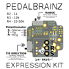 Expression Brain Kit