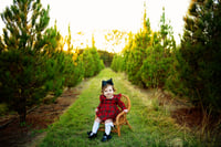 Image 1 of Tree Farm Minis- 2024