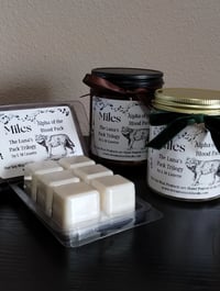 Image 1 of Book Character Inspired Candles and Wax Melts