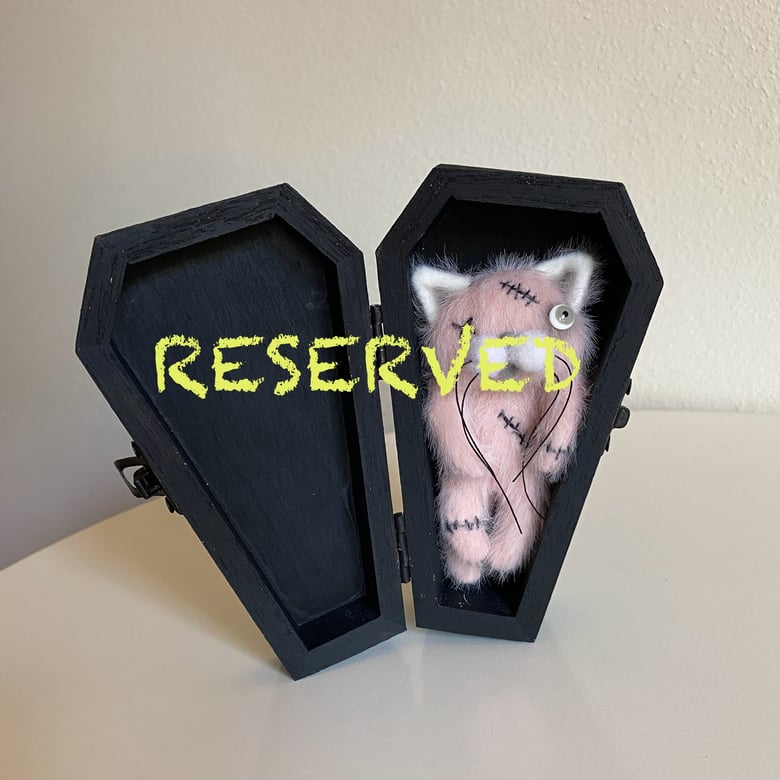 Image of RESERVED for Terry S