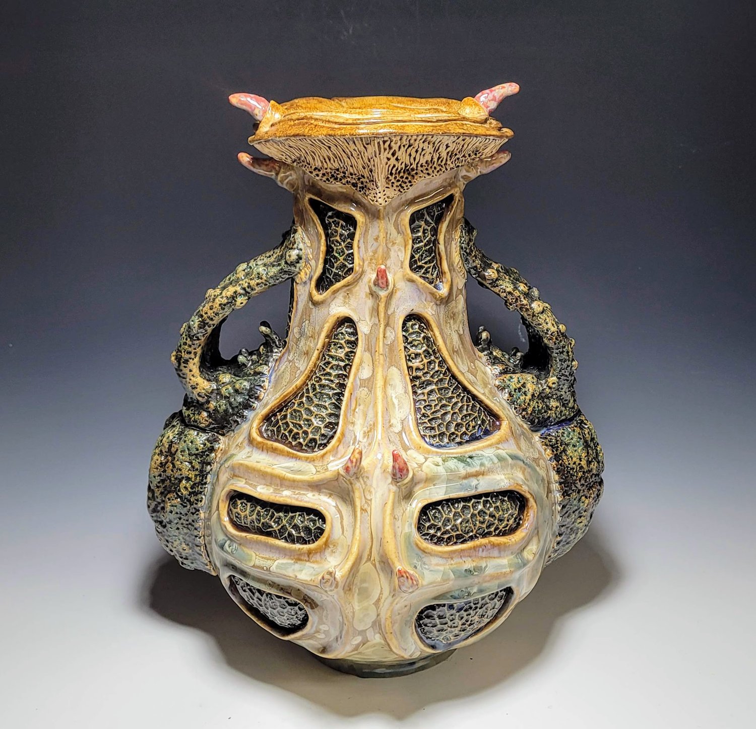 Image of Diane Simon - Bolitotherus