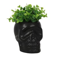 Black Ceramic Plant Pot