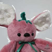 Image 4 of Meet Byrn the Berry Mouse!