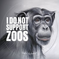 Image 1 of I do not support zoos | Sticker round