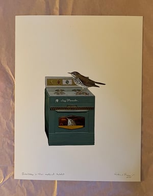 Image of Ovenbirds in their natural habitat. Limited edition collage print.