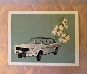 Image of White-eyed vireos on springbreak. Limited edition collage print.