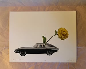 Image of Harold, without Maude. Limited edition collage print.