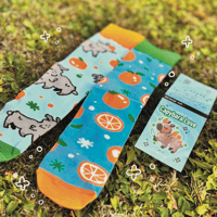 Image 2 of CAPYBARA SOCKS