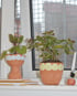 Smileeee terracotta plant pot (Blue face) Image 3